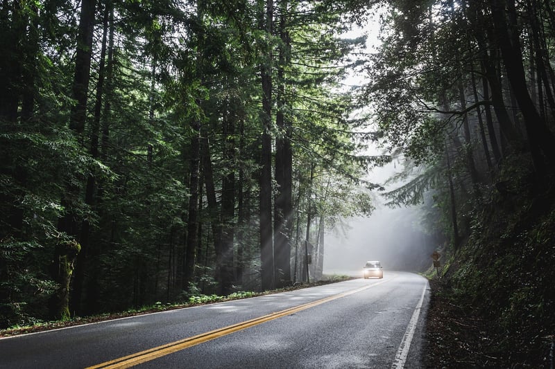 Epic Road Trips